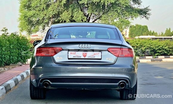 Buy Import Audi 100 Other Car in Import - Dubai in Abseron Buy Import Audi 100 Other Car in Import - Dubai in Abseron