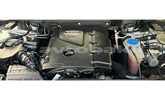 Buy Import Audi 100 Other Car in Import - Dubai in Abseron Buy Import Audi 100 Other Car in Import - Dubai in Abseron