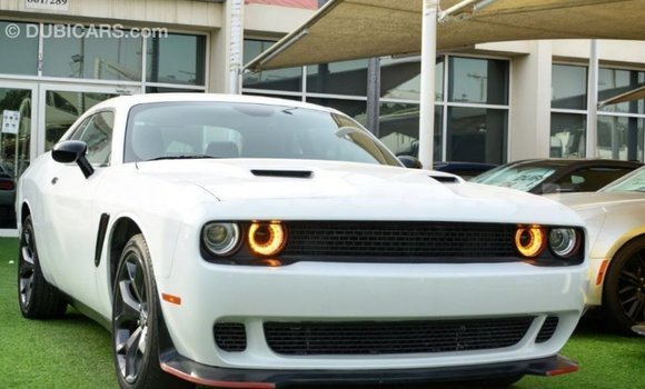 Buy Import Dodge Challenger White Car in Import - Dubai in Abseron Buy Import Dodge Challenger White Car in Import - Dubai in Abseron