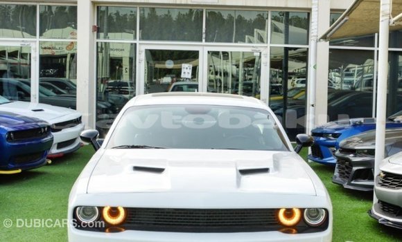 Buy Import Dodge Challenger White Car in Import - Dubai in Abseron Buy Import Dodge Challenger White Car in Import - Dubai in Abseron