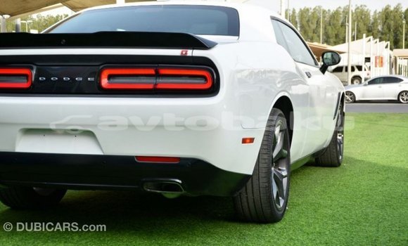 Buy Import Dodge Challenger White Car in Import - Dubai in Abseron Buy Import Dodge Challenger White Car in Import - Dubai in Abseron
