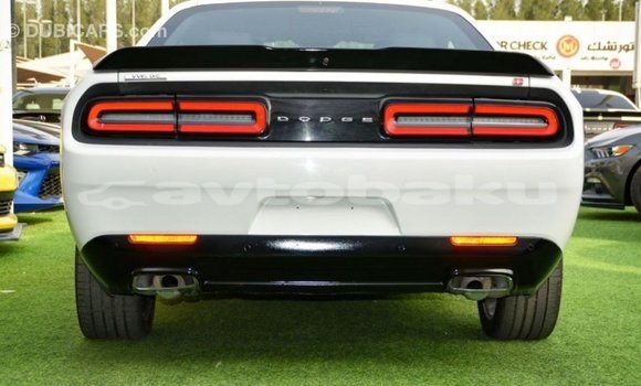 Buy Import Dodge Challenger White Car in Import - Dubai in Abseron Buy Import Dodge Challenger White Car in Import - Dubai in Abseron