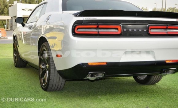 Buy Import Dodge Challenger White Car in Import - Dubai in Abseron Buy Import Dodge Challenger White Car in Import - Dubai in Abseron