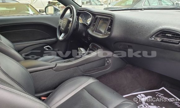 Buy Import Dodge Challenger White Car in Import - Dubai in Abseron Buy Import Dodge Challenger White Car in Import - Dubai in Abseron