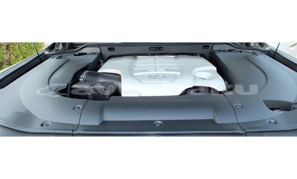 Buy Import Lexus LX Other Car in Import - Dubai in Abseron Buy Import Lexus LX Other Car in Import - Dubai in Abseron