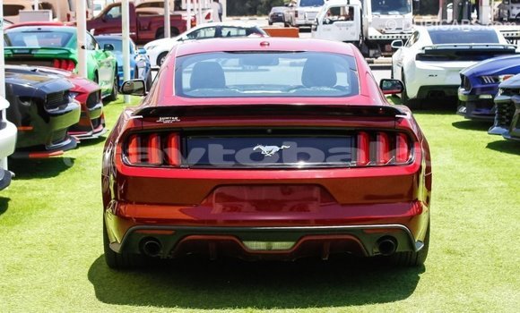 Buy Import Ford Mustang Red Car in Import - Dubai in Abseron Buy Import Ford Mustang Red Car in Import - Dubai in Abseron