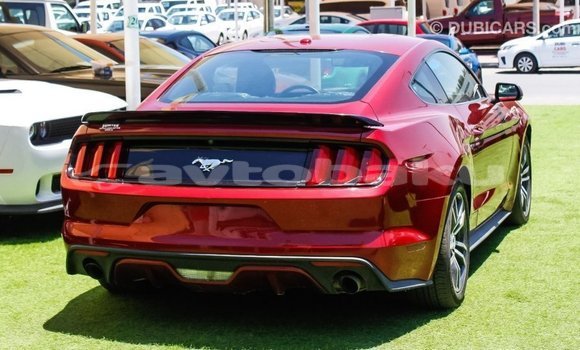 Buy Import Ford Mustang Red Car in Import - Dubai in Abseron Buy Import Ford Mustang Red Car in Import - Dubai in Abseron