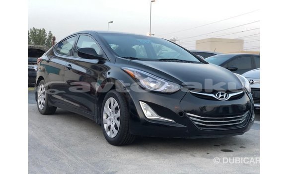 Buy Import Hyundai Elantra Black Car in Import - Dubai in Abseron Buy Import Hyundai Elantra Black Car in Import - Dubai in Abseron
