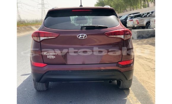 Buy Import Hyundai Tucson Red Car in Import - Dubai in Abseron Buy Import Hyundai Tucson Red Car in Import - Dubai in Abseron