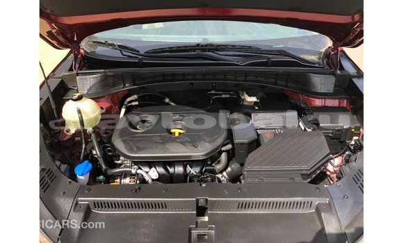 Buy Import Hyundai Tucson Red Car in Import - Dubai in Abseron Buy Import Hyundai Tucson Red Car in Import - Dubai in Abseron