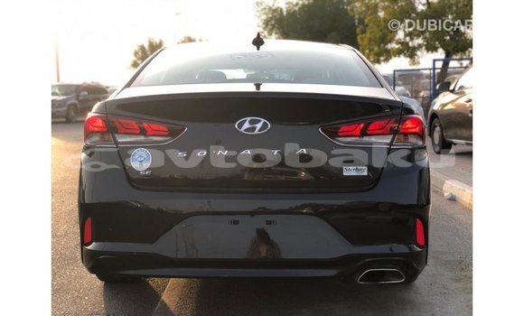 Buy Import Hyundai Sonata Black Car in Import - Dubai in Abseron Buy Import Hyundai Sonata Black Car in Import - Dubai in Abseron