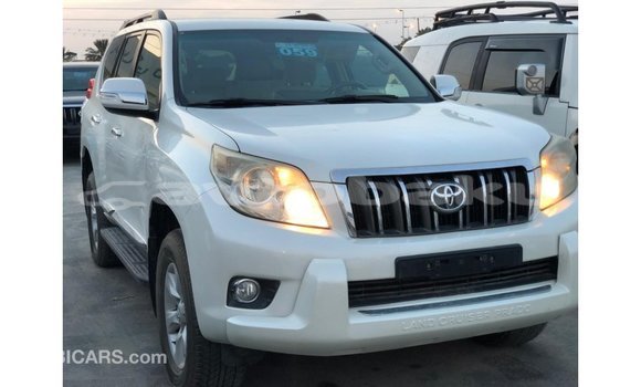 Buy Import Toyota Prado White Car in Import - Dubai in Abseron Buy Import Toyota Prado White Car in Import - Dubai in Abseron