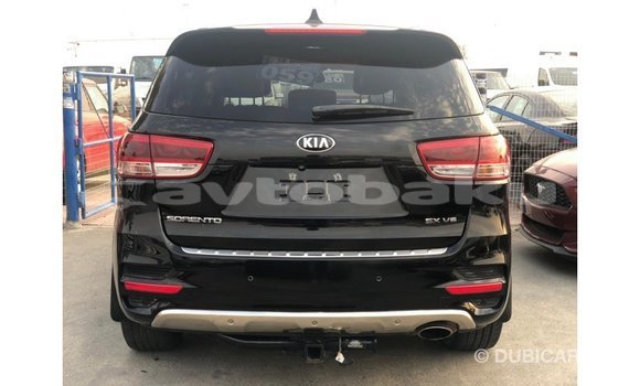 Buy Import Kia Sorento Black Car in Import - Dubai in Abseron Buy Import Kia Sorento Black Car in Import - Dubai in Abseron