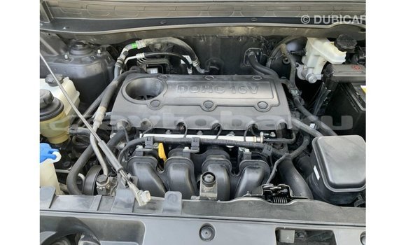 Buy Import Kia Sportage Black Car in Import - Dubai in Abseron Buy Import Kia Sportage Black Car in Import - Dubai in Abseron