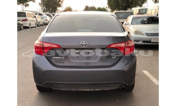 Buy Import Toyota Corolla Other Car in Import - Dubai in Abseron Buy Import Toyota Corolla Other Car in Import - Dubai in Abseron
