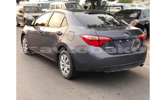 Buy Import Toyota Corolla Other Car in Import - Dubai in Abseron Buy Import Toyota Corolla Other Car in Import - Dubai in Abseron