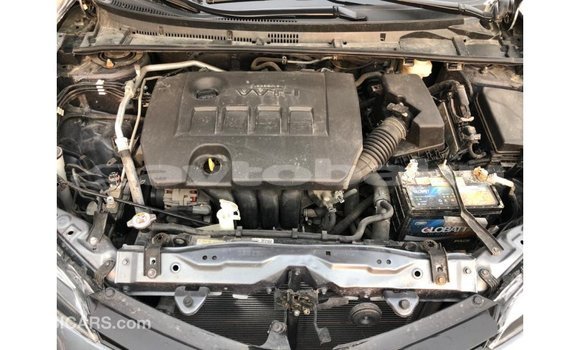 Buy Import Toyota Corolla Other Car in Import - Dubai in Abseron Buy Import Toyota Corolla Other Car in Import - Dubai in Abseron