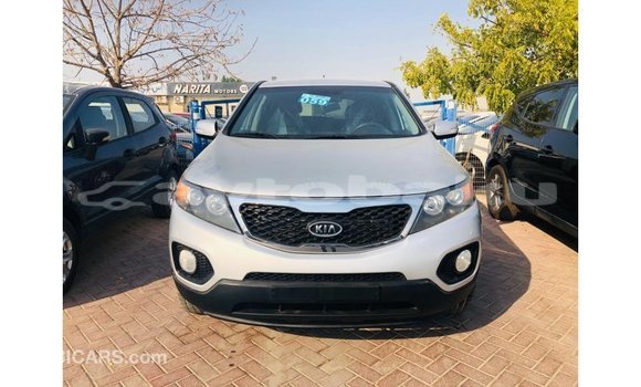 Buy Import Kia Sorento Other Car in Import - Dubai in Abseron Buy Import Kia Sorento Other Car in Import - Dubai in Abseron