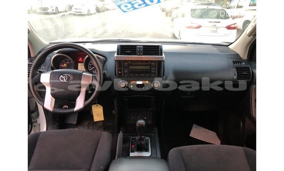 Buy Import Toyota Prado White Car in Import - Dubai in Abseron Buy Import Toyota Prado White Car in Import - Dubai in Abseron