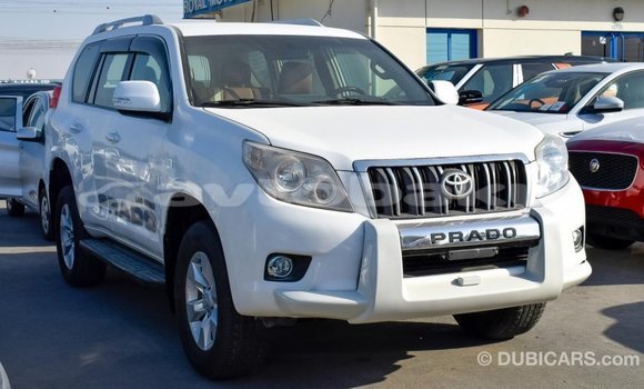 Buy Import Toyota Prado White Car in Import - Dubai in Abseron Buy Import Toyota Prado White Car in Import - Dubai in Abseron