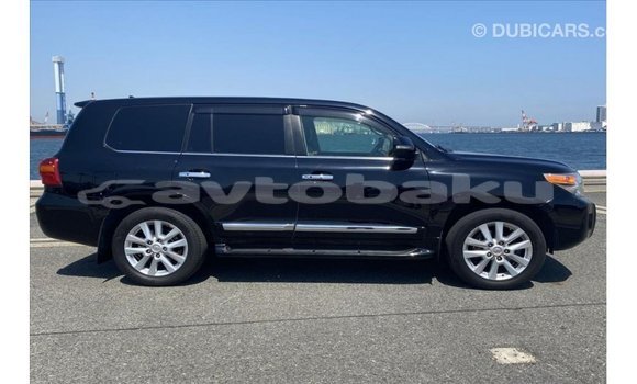 Buy Import Toyota Land Cruiser Black Car in Import - Dubai in Abseron Buy Import Toyota Land Cruiser Black Car in Import - Dubai in Abseron