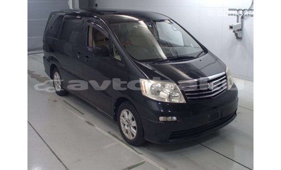 Buy Import Toyota Alphard Black Car in Import - Dubai in Abseron Buy Import Toyota Alphard Black Car in Import - Dubai in Abseron