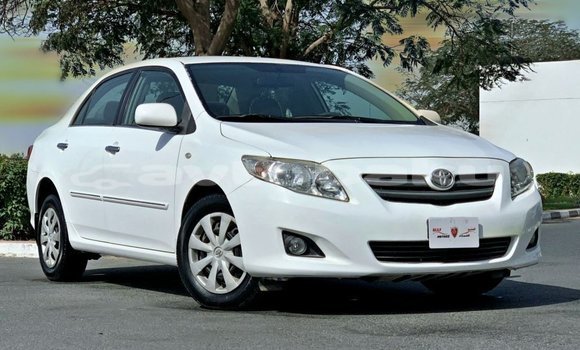 Buy Import Toyota Corolla White Car in Import - Dubai in Abseron Buy Import Toyota Corolla White Car in Import - Dubai in Abseron