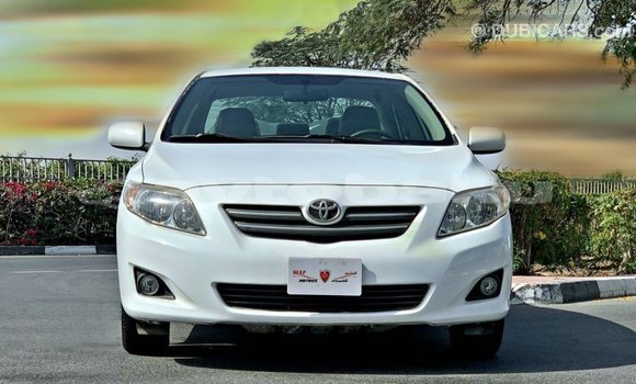 Buy Import Toyota Corolla White Car in Import - Dubai in Abseron Buy Import Toyota Corolla White Car in Import - Dubai in Abseron