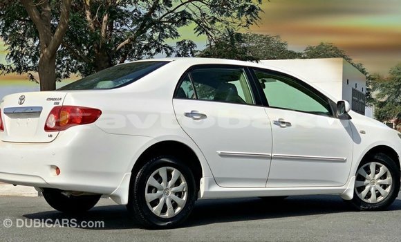 Buy Import Toyota Corolla White Car in Import - Dubai in Abseron Buy Import Toyota Corolla White Car in Import - Dubai in Abseron