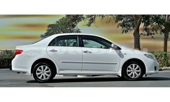 Buy Import Toyota Corolla White Car in Import - Dubai in Abseron Buy Import Toyota Corolla White Car in Import - Dubai in Abseron
