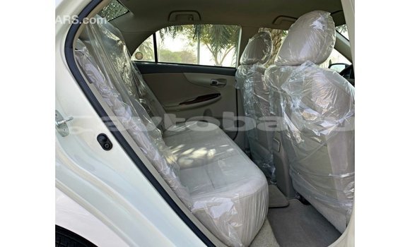 Buy Import Toyota Corolla White Car in Import - Dubai in Abseron Buy Import Toyota Corolla White Car in Import - Dubai in Abseron