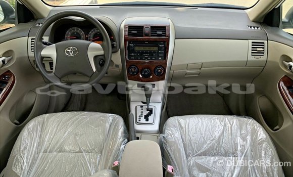 Buy Import Toyota Corolla White Car in Import - Dubai in Abseron Buy Import Toyota Corolla White Car in Import - Dubai in Abseron