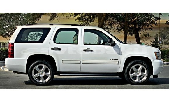 Buy Import Chevrolet Tahoe White Car in Import - Dubai in Abseron Buy Import Chevrolet Tahoe White Car in Import - Dubai in Abseron