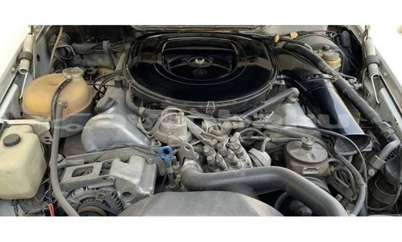 Buy Import Mercedes-Benz 190 White Car in Import - Dubai in Abseron Buy Import Mercedes-Benz 190 White Car in Import - Dubai in Abseron