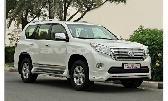 Buy Import Toyota Prado White Car in Import - Dubai in Abseron