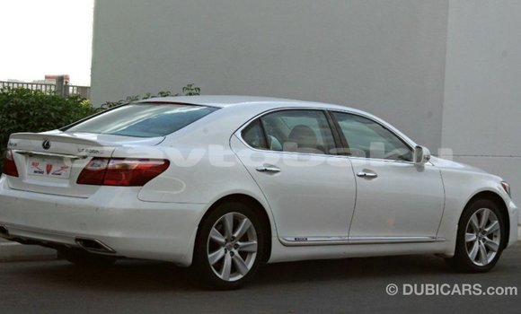 Buy Import Lexus LS White Car in Import - Dubai in Abseron Buy Import Lexus LS White Car in Import - Dubai in Abseron
