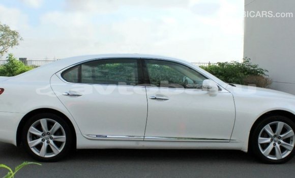 Buy Import Lexus LS White Car in Import - Dubai in Abseron Buy Import Lexus LS White Car in Import - Dubai in Abseron