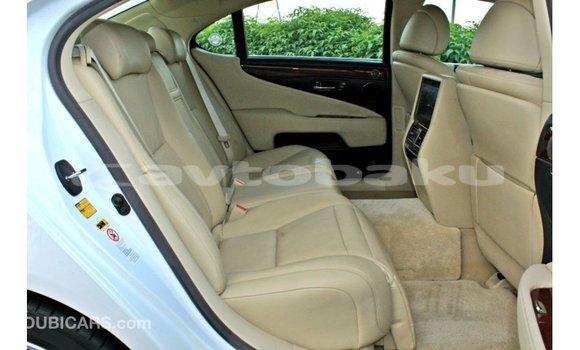 Buy Import Lexus LS White Car in Import - Dubai in Abseron Buy Import Lexus LS White Car in Import - Dubai in Abseron