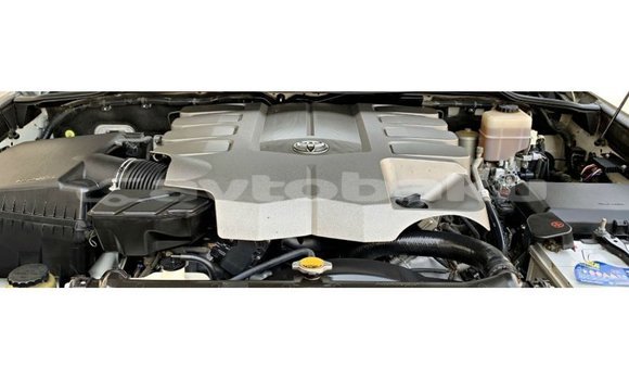 Buy Import Toyota Land Cruiser White Car in Import - Dubai in Abseron Buy Import Toyota Land Cruiser White Car in Import - Dubai in Abseron