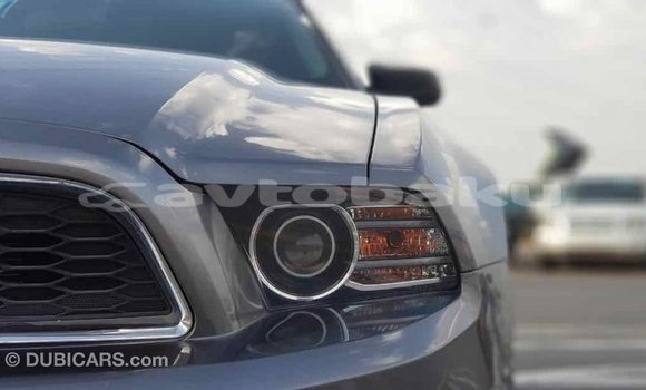 Buy Import Ford Mustang Other Car in Import - Dubai in Abseron Buy Import Ford Mustang Other Car in Import - Dubai in Abseron