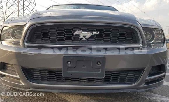 Buy Import Ford Mustang Other Car in Import - Dubai in Abseron Buy Import Ford Mustang Other Car in Import - Dubai in Abseron