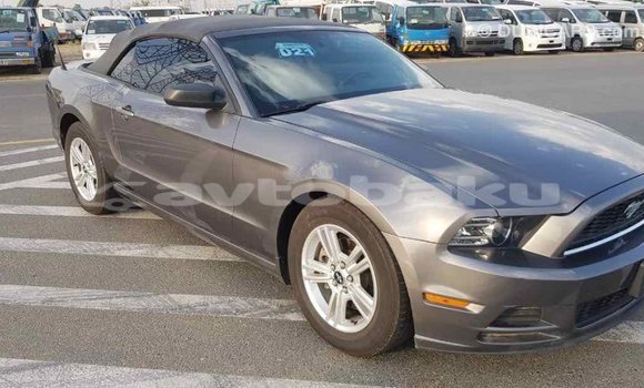 Buy Import Ford Mustang Other Car in Import - Dubai in Abseron Buy Import Ford Mustang Other Car in Import - Dubai in Abseron