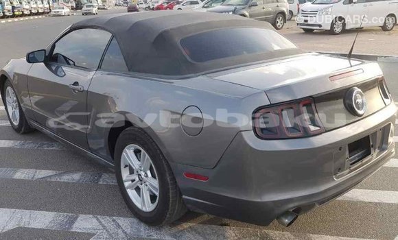 Buy Import Ford Mustang Other Car in Import - Dubai in Abseron Buy Import Ford Mustang Other Car in Import - Dubai in Abseron
