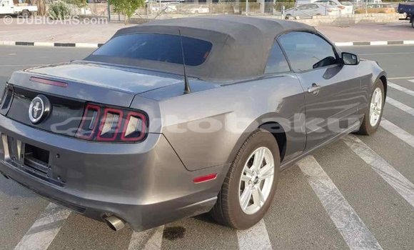 Buy Import Ford Mustang Other Car in Import - Dubai in Abseron Buy Import Ford Mustang Other Car in Import - Dubai in Abseron