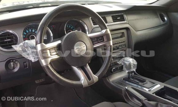 Buy Import Ford Mustang Other Car in Import - Dubai in Abseron Buy Import Ford Mustang Other Car in Import - Dubai in Abseron