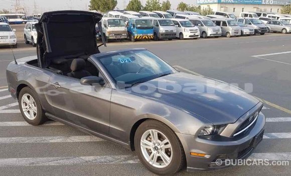 Buy Import Ford Mustang Other Car in Import - Dubai in Abseron Buy Import Ford Mustang Other Car in Import - Dubai in Abseron