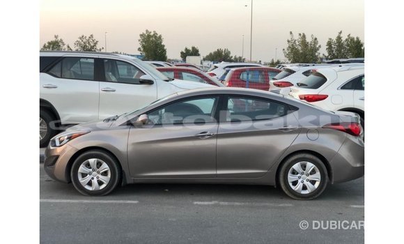 Buy Import Hyundai Elantra Brown Car in Import - Dubai in Abseron Buy Import Hyundai Elantra Brown Car in Import - Dubai in Abseron