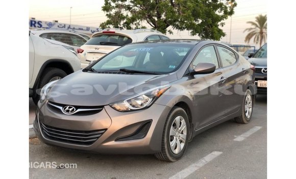 Buy Import Hyundai Elantra Brown Car in Import - Dubai in Abseron Buy Import Hyundai Elantra Brown Car in Import - Dubai in Abseron