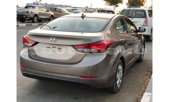 Buy Import Hyundai Elantra Brown Car in Import - Dubai in Abseron Buy Import Hyundai Elantra Brown Car in Import - Dubai in Abseron
