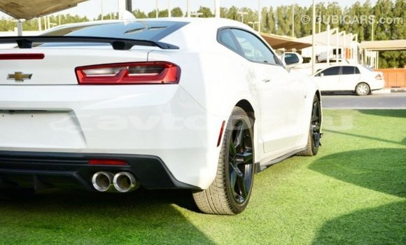 Buy Import Chevrolet Camaro White Car in Import - Dubai in Abseron Buy Import Chevrolet Camaro White Car in Import - Dubai in Abseron
